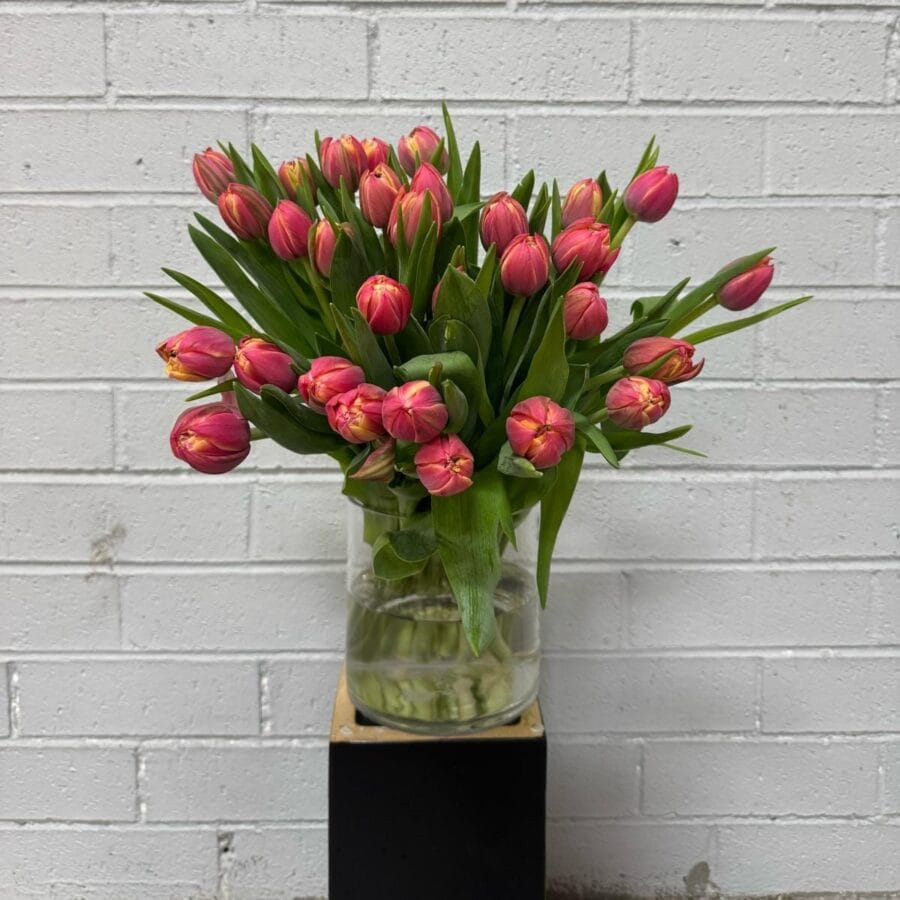 tulipa_en_masse