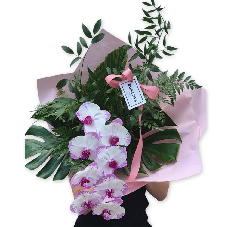 high-fashion-orchid